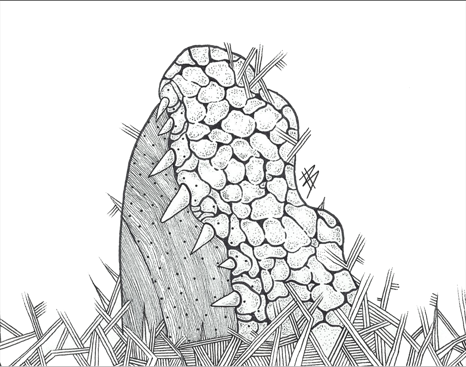 Freeze - Alligator Art Print