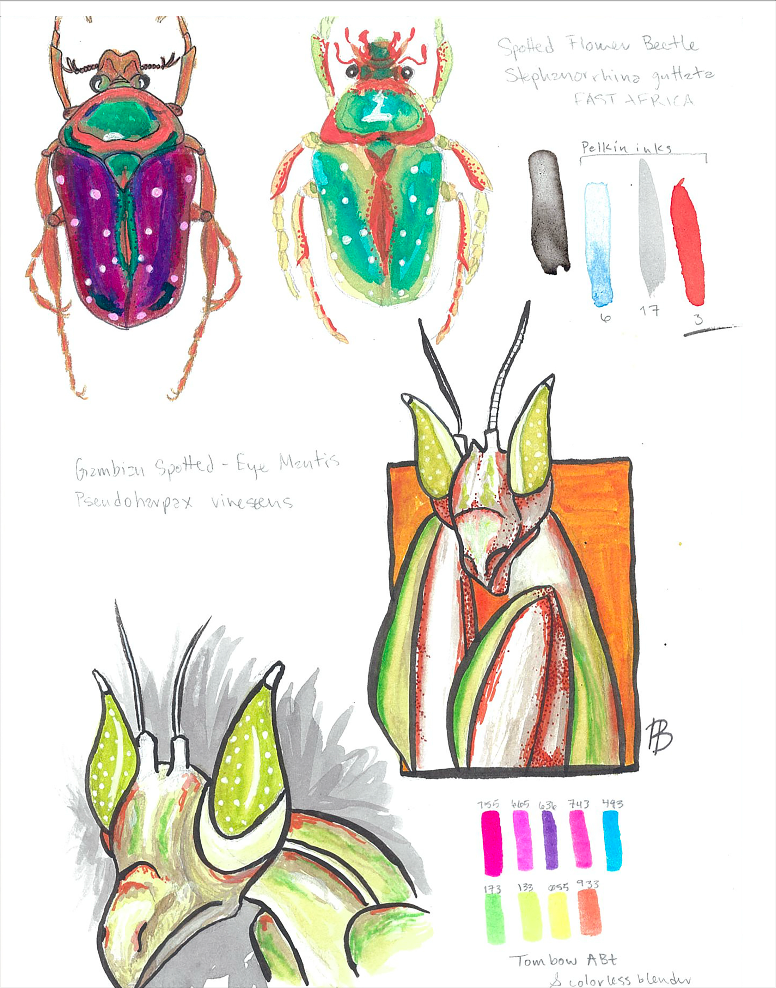 Whimsical Sketchbook Page - Art Print