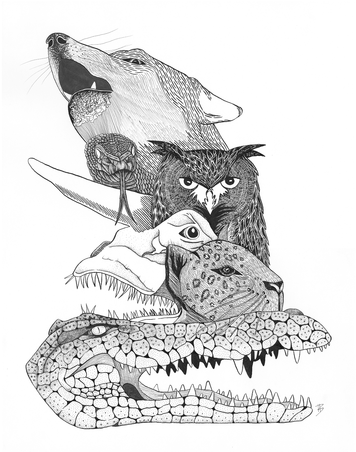 "Predatory" - Art Print